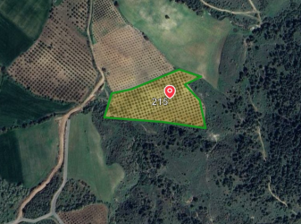 MANİSA SOMA DUALAR DA OSB YAKININ DA 19.900 M² SATILIK ZEYTİNLİK